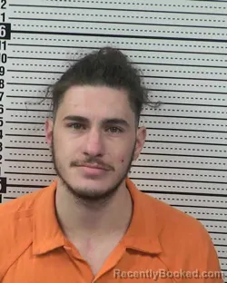 Mugshot of ALEJANDRO GONZALEZ