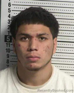 Mugshot of LUIS AGUIRRE