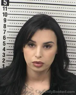 Mugshot of ALEXANDER RENEE GUZMAN