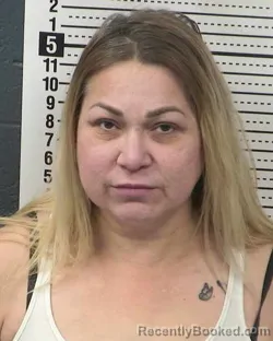 Mugshot of YVONNE IRIGOYEN
