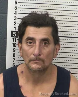 Mugshot of JUAN MARTINEZ