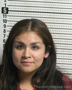 Mugshot of VANESSA VILLEGAS