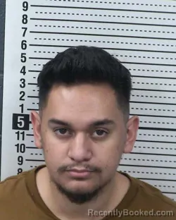 Mugshot of ERICK A ALMANZA