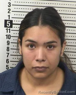 Mugshot of CARLA CISNEROS