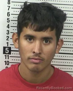Mugshot of WILMER SANTOS-VILLANUEVA