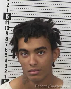 Mugshot of BRIAN GOODWIN
