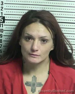 Booking photo from Dona Ana County, New Mexico