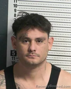 Mugshot of ALFONSO O DOMINGUEZ
