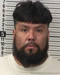 Mugshot of JUAN FLORES-ADAME