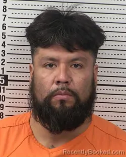 Mugshot of JUAN FLORES-ADAME