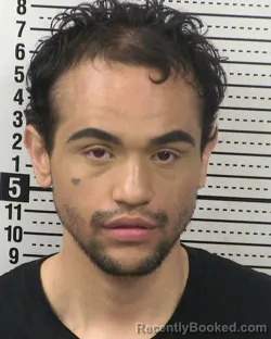 Booking photo from Dona Ana County, New Mexico