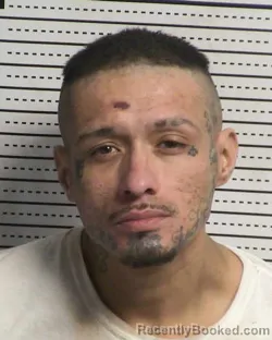 Booking photo from Dona Ana County, New Mexico