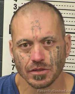 Booking photo from Dona Ana County, New Mexico