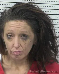 Booking photo from Dona Ana County, New Mexico