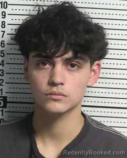 Booking photo from Dona Ana County, New Mexico