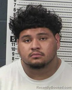 Booking photo from Dona Ana County, New Mexico