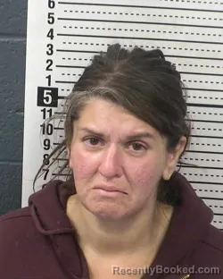 Booking photo from Dona Ana County, New Mexico