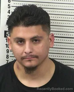 Booking photo from Dona Ana County, New Mexico