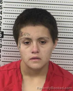 Booking photo from Dona Ana County, New Mexico