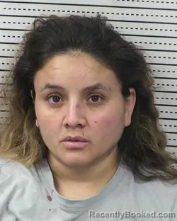 Mugshot of CRYSTAL DANIEL ALARCON