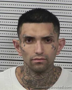 Mugshot of ANTHONY LUJAN