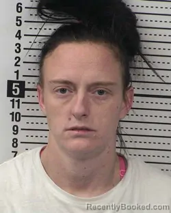 Mugshot of CHRISTINE VIOLA MERRILL