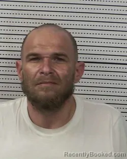 Mugshot of LEO PATIN