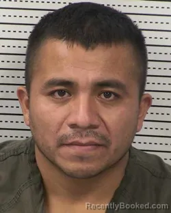 Mugshot of LUCIO HERNANDEZ