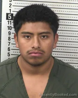 Mugshot of FREDY HERNANDEZ-VAZQUEZ