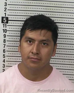 Mugshot of BRAULIO LORENZO-PABLO