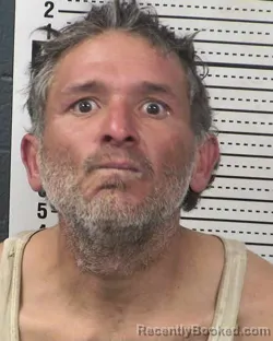 Mugshot of SERGIO GUZMAN