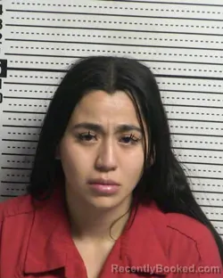 Booking photo from Dona Ana County, New Mexico