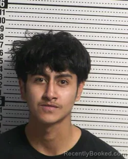 Mugshot of ANTONY EDWARD SIFUENTES GARZA