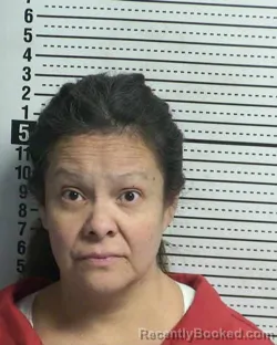 Mugshot of VALDEENA WAVNEKA