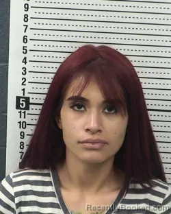 Mugshot of CRYSTAL BRITTANEY MORENO