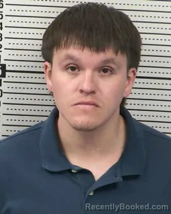 Mugshot of CARLOS MIGUEL CEDILLO