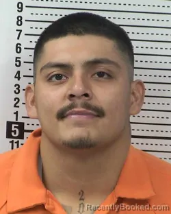 Mugshot of LUIS ALBERTO MORALES