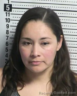 Mugshot of LIZBET CEDENO