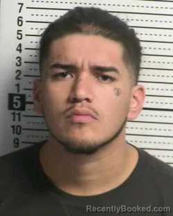 Mugshot of ANDRES GUTIEREZ