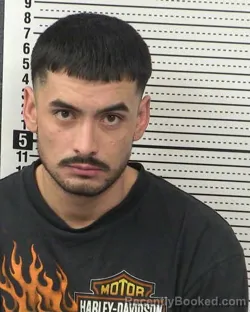 Mugshot of AARON FERNANDO LUNA-EVANS