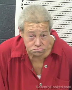 Mugshot of LAURISA MCCLENDON