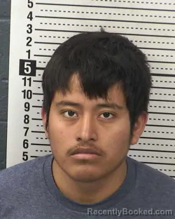 Mugshot of MARCO CAMILO-APOLINAR