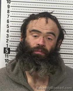 Mugshot of ANDREW DOMINGO CALDERA