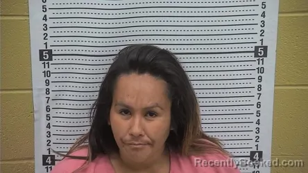 Mugshot of ANDREA HERNANDEZ