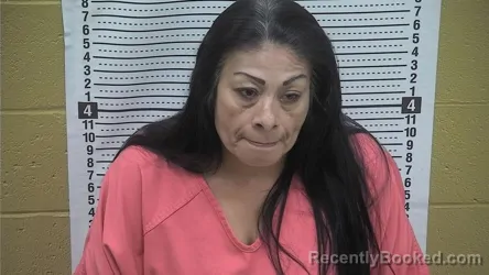 Booking photo from Grant County, New Mexico