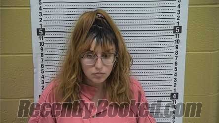 Booking photo from Grant County, New Mexico