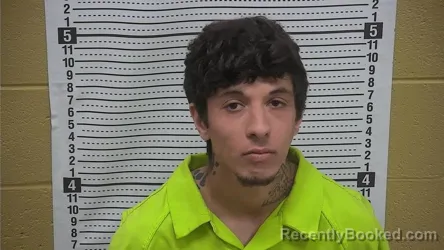 Booking photo from Grant County, New Mexico