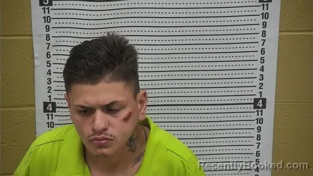 Mugshot of ORLANDO SEDILLO