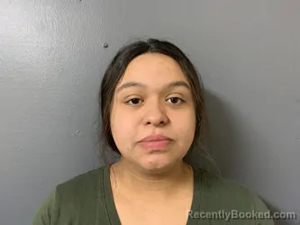 Mugshot of Aleyshnet Bermeo