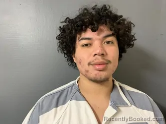 Mugshot of Johnny Alexander Hernandez-Perez